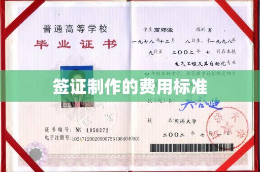 安县签证制作的费用标准